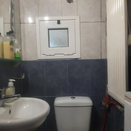 ιανός 카르디차
